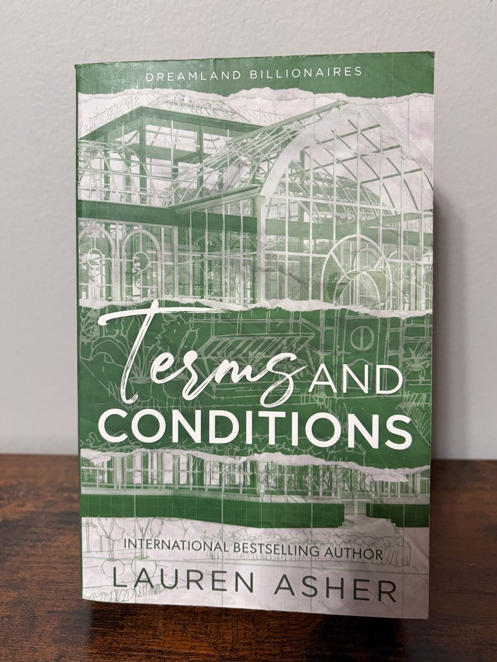 Terms and Conditions by Lauren Asher